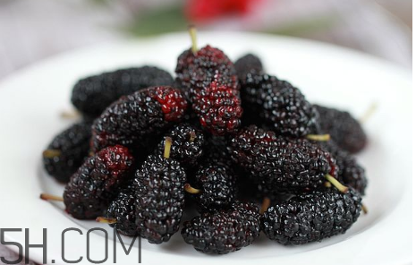 桑葚牛奶汁的做法(桑葚牛奶汁的做法)