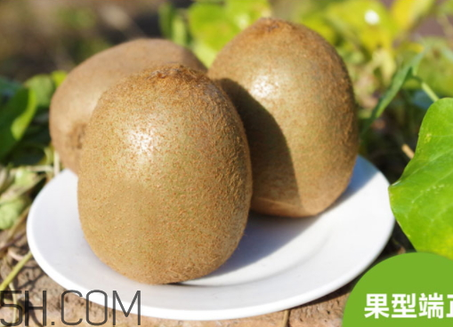 猕猴桃哪种好吃(猕猴桃哪种好吃红心绿心黄心) 猕猴桃哪种好吃(猕猴桃哪种好吃红心绿心黄心)