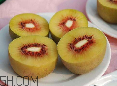 红阳猕猴桃成熟周期(红阳猕猴桃什么时间成熟)