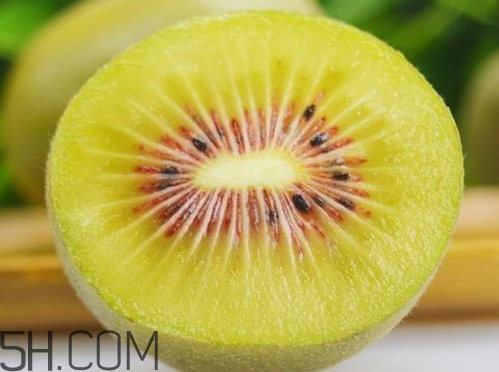 红心猕猴桃太小是次品吗(红心猕猴桃为什么这么小)