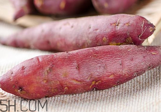 板栗红薯能一起吃吗(板栗红薯能一起吃吗)