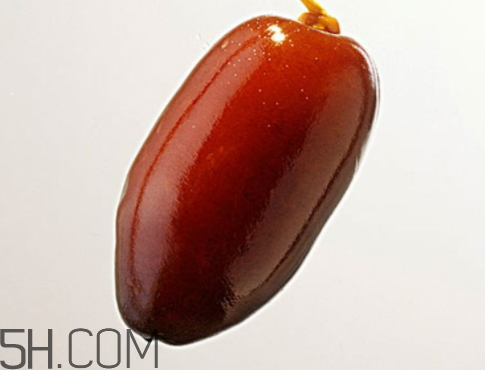 椰枣孕妇可以吃吗(沙特椰枣孕妇可以吃吗)