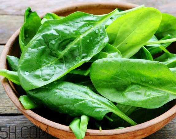 菠菜不能和什么一起吃(菠菜不能和什么一起吃?) 菠菜不能和什么一起吃(菠菜不能和什么一起吃?)