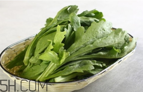 皇帝菜是发物吗(皇帝菜是发物吗)