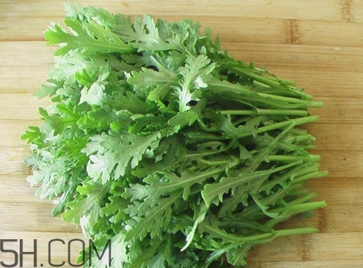 皇帝菜什么季节有(皇帝菜什么季节有)