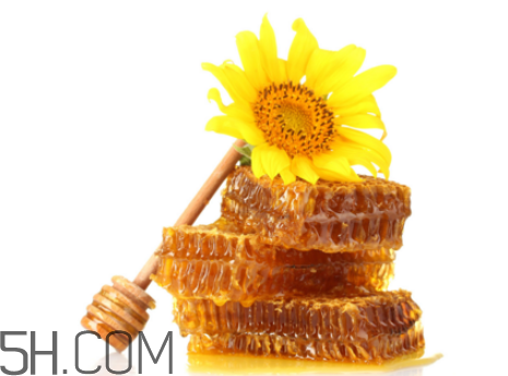 蜂巢蜜和蜂蜜的介绍(什么是蜂巢蜜)