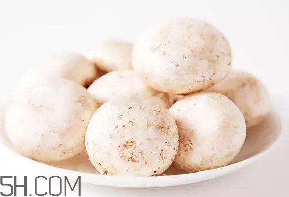 口蘑好吃吗(口蘑如何做好吃)