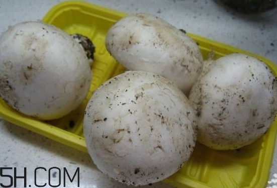 口蘑常见吃法(口蘑的吃法) 口蘑常见吃法(口蘑的吃法)