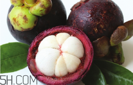 吃山竹会发胖吗(吃山竹会发胖吗)