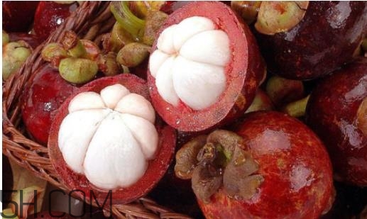 山竹可以存放几天(山竹可以存放几天)