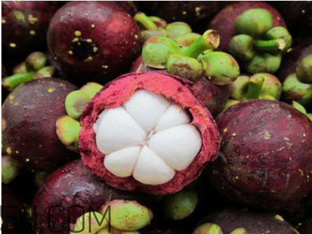 山竹晚上能吃吗(山竹晚上能吃吗)