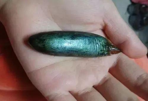 鱼胆破了还能吃吗(鱼胆破了还能吃吗?)