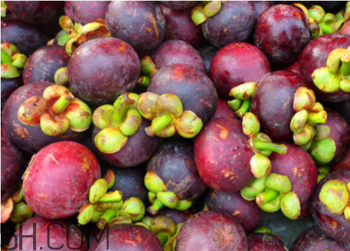 山竹重的好还是轻的好(山竹重的好还是轻的好) 山竹重的好还是轻的好(山竹重的好还是轻的好)