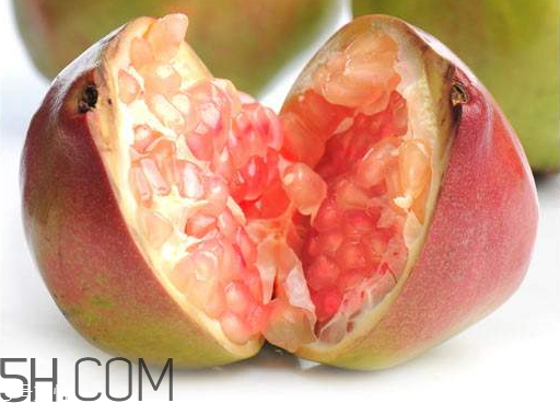 酸石榴的营养成分(酸石榴的营养成分)