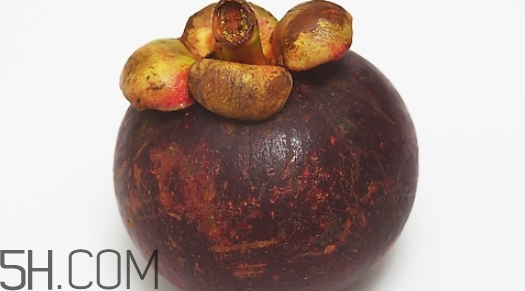 山竹是什么季节的水果(山竹是什么水果)