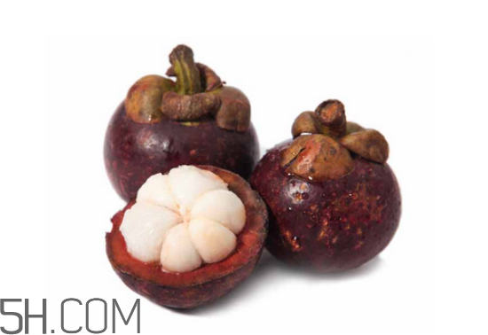 山竹的功效和作用(山竹的功效和作用一天能吃几个?) 山竹的功效和作用(山竹的功效和作用一天能吃几个?)