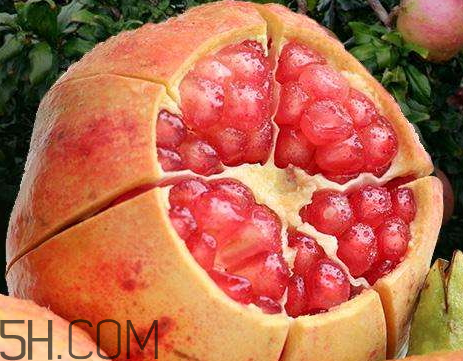 石榴籽怎么吃(吃石榴对身体有哪些好处)