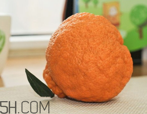 辨别丑橘的方法(怎么分辨丑橘和橘子)