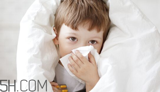 为什么姜汤能和风寒感冒药一起吃(风寒感冒吃药后能喝姜汤吗)