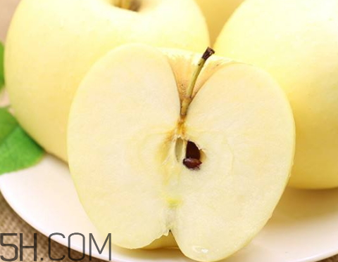 黄元帅苹果的特点(黄元帅苹果的特点)