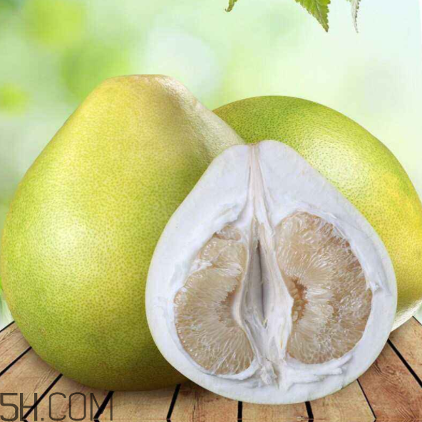 柚子皮的药用价值(柚子皮的药用价值及制作方法)