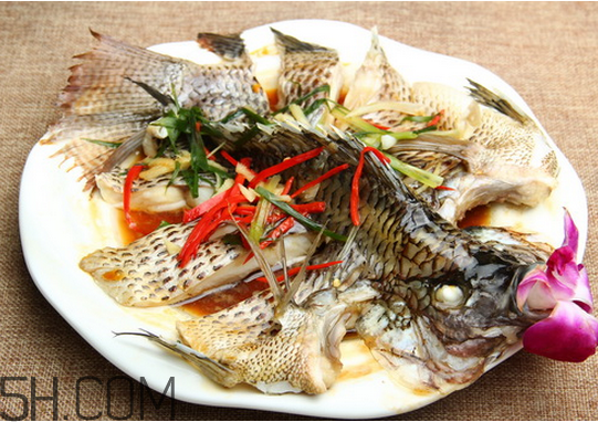 什么鱼刺少(什么鱼刺少适合宝宝吃)