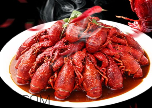 2018年小龙虾养殖分析(今年小龙虾养殖行情)