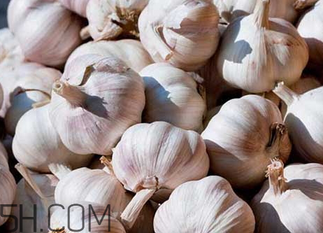 影响蒜价格的因素(影响大蒜价格的因素) 影响蒜价格的因素(影响大蒜价格的因素)