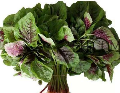 苋菜的营养价值(苋菜的营养价值及功效和作用)