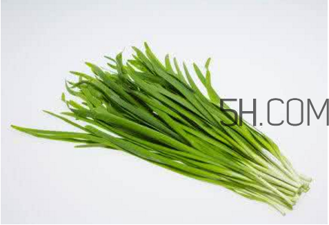 秋天吃韭菜拉肚子怎么办(冬天吃韭菜拉肚子怎么回事)