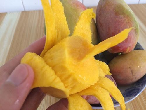 贵妃芒的产地在哪里(贵妃芒的产地在哪里)