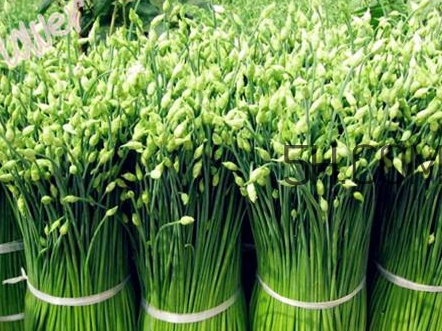 韭菜花的腌制方法二(韭菜花的做法腌制方法)