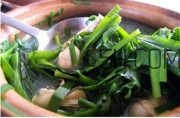 生蚝和韭菜可以一起吃吗(生蚝和韭菜可以一起吃吗)