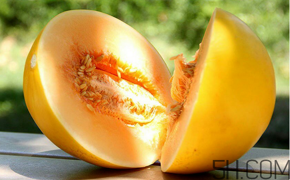 西州蜜瓜是哈密瓜吗(西州蜜瓜是哈密瓜吗)