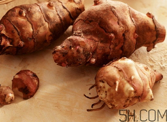 洋姜的营养价值(洋姜的营养价值和药用价值)