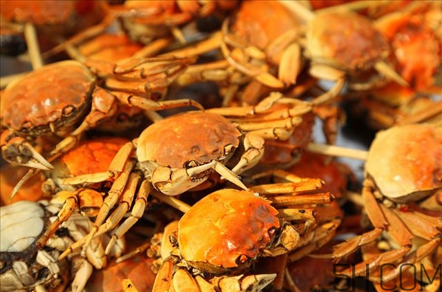 吃大闸蟹不能吃过敏性食物(过敏能吃大闸蟹吗) 吃大闸蟹不能吃过敏性食物(过敏能吃大闸蟹吗)