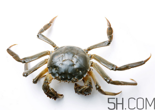 螃蟹如何保存(螃蟹如何保存活得久)