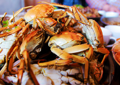 螃蟹食用禁忌(螃蟹食用禁忌是哪些) 螃蟹食用禁忌(螃蟹食用禁忌是哪些)