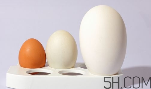 孕妇什么时候开始去胎毒好(孕妇什么时候开始去胎毒好)