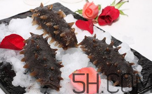 海参是凉性还是热性(海参是凉性还是热性中医咋说)