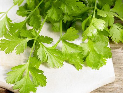 感光食物对灯光敏感吗(感光食物对灯光敏感吗)