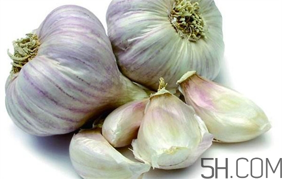 食用大蒜的注意事项(食用大蒜的注意事项) 食用大蒜的注意事项(食用大蒜的注意事项)