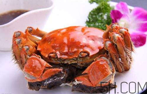 中国螃蟹有哪些种类(50种中国螃蟹种类)