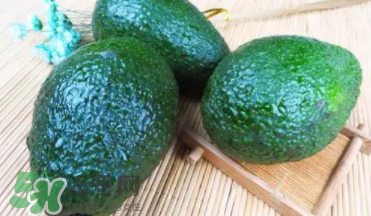 牛油果的生长习性(牛油果的生长条件)