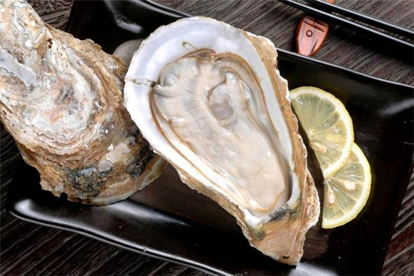 生蚝怎么挑选(生蚝怎么挑选?哪种生蚝好?)