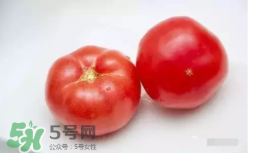 芦荟的营养价值(芦荟的营养价值和作用)