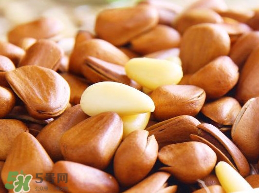 松子怎么能开口(松子用什么办法能开口)