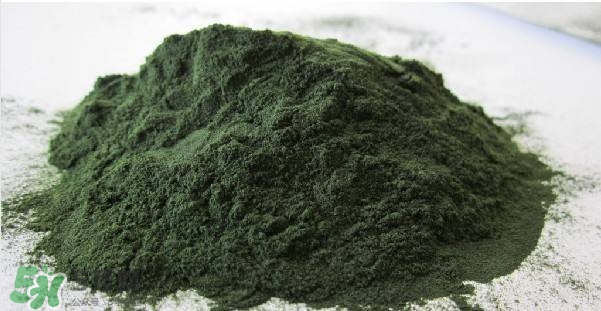 螺旋藻粉的功效和作用(螺旋藻粉的功效和作用和吃法) 螺旋藻粉的功效和作用(螺旋藻粉的功效和作用和吃法)