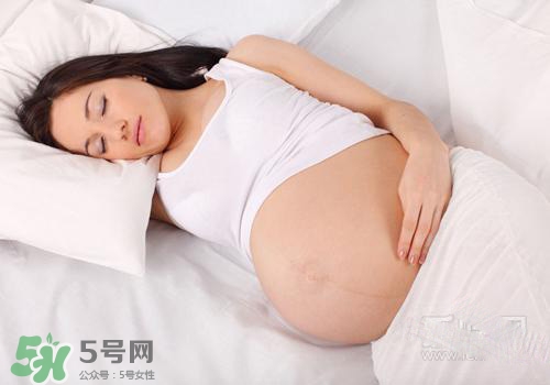 生蚝怎么挑选(生蚝怎么挑选肥的)