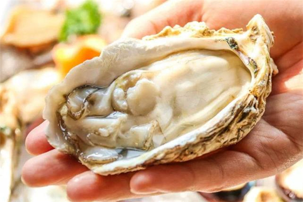 冻过的生蚝肉还有营养吗(冰冻生蚝肉还有营养吗)